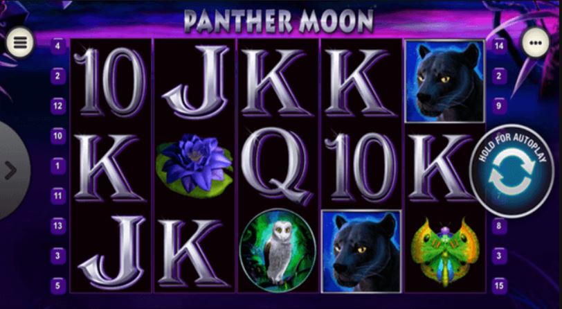 PANTHER MOON - logo