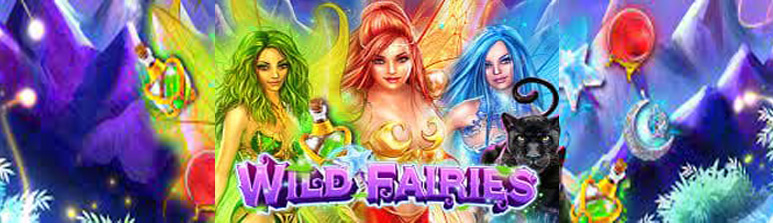 Wild Fairies - jokergaming