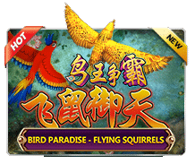 Bird Paradise - jokergaming