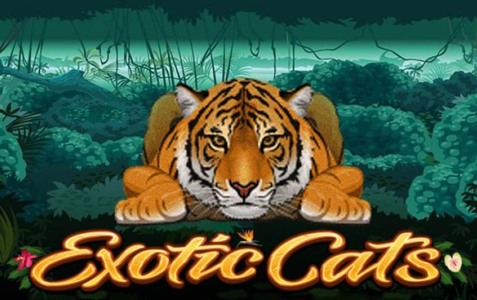 joker gaming-Exotic Cats